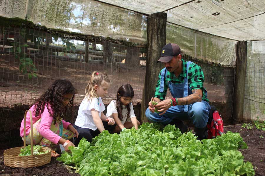 Imagem mostra um grupo de crianças conhecendo a horta do Brotas Eco Hotel Fazenda